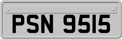 PSN9515