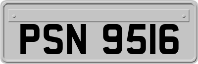 PSN9516