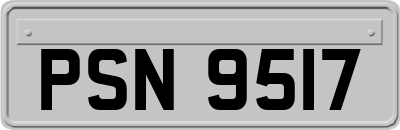 PSN9517