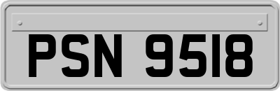PSN9518