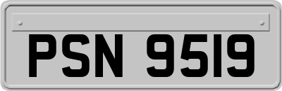 PSN9519