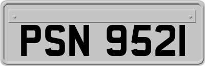 PSN9521