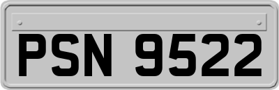 PSN9522