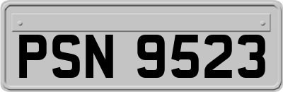 PSN9523