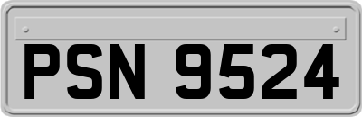 PSN9524