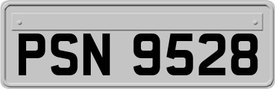 PSN9528