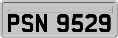 PSN9529