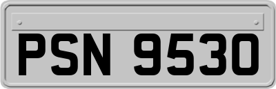 PSN9530