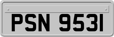 PSN9531