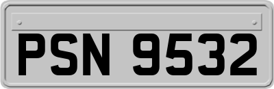 PSN9532