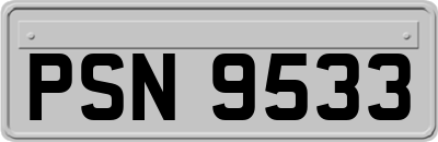 PSN9533
