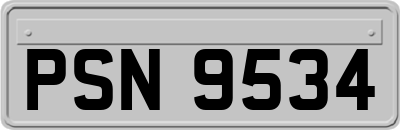 PSN9534