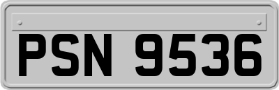 PSN9536