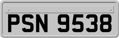 PSN9538