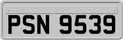 PSN9539