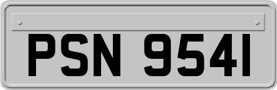 PSN9541