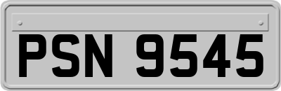 PSN9545