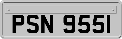 PSN9551