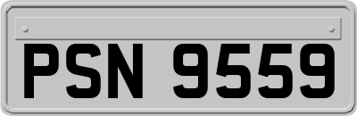 PSN9559