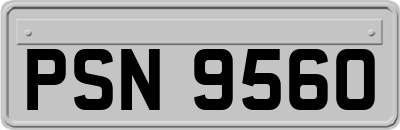 PSN9560