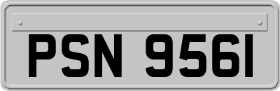 PSN9561