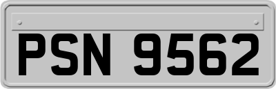 PSN9562