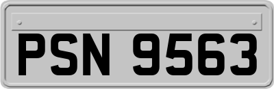 PSN9563