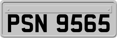 PSN9565