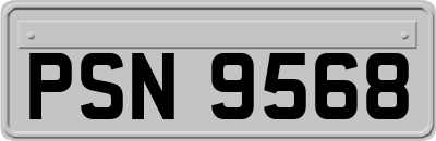 PSN9568