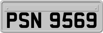 PSN9569