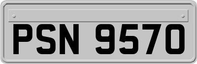 PSN9570