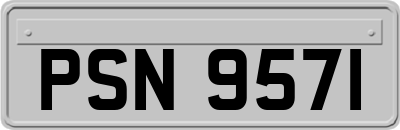 PSN9571
