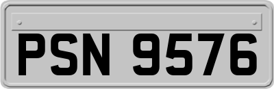 PSN9576