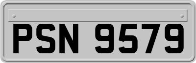 PSN9579