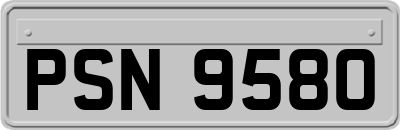 PSN9580