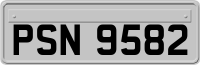 PSN9582