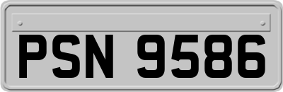 PSN9586