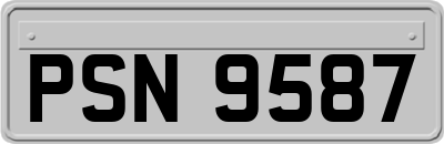 PSN9587
