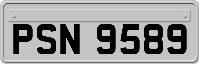PSN9589