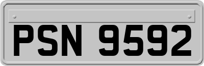 PSN9592