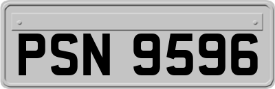 PSN9596