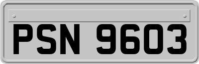 PSN9603