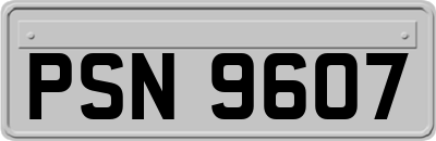 PSN9607