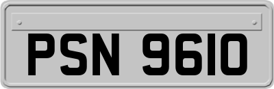 PSN9610