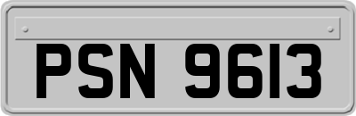 PSN9613