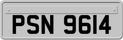 PSN9614