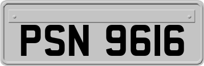 PSN9616