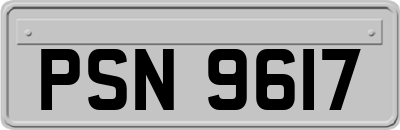PSN9617