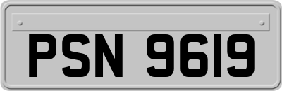 PSN9619