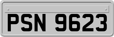 PSN9623
